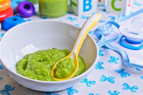 How To Make Your Own Baby Food Wellbeing By Wellca