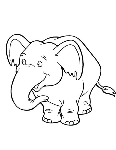 Cara gampang menggambar gajah youtube. Kumpulan Gambar Sketsa Gajah, Hewan Besar dengan Belalai ...