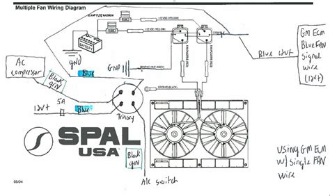 Spal Electric Fan Wiring Diagram