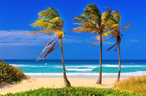 The Most Beautiful Beaches In Cuba Vivitravels
