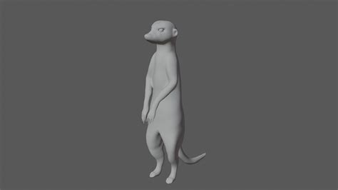 3d Fully Rigged Low Poly Meerkat Model Turbosquid 1761623