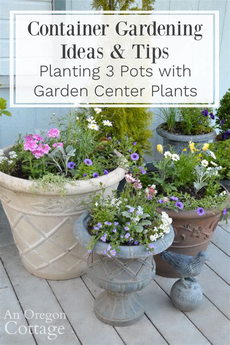 3 Container Gardening Ideas And Tips An Oregon Cottage