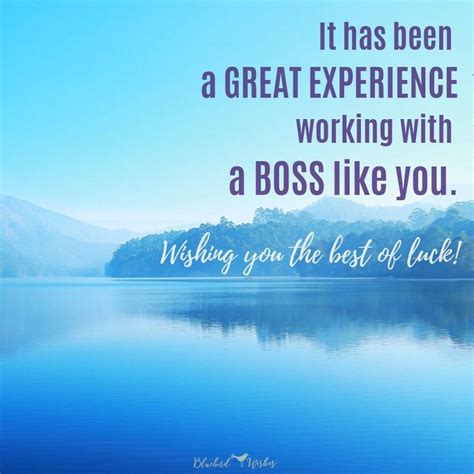 47 farewell messages and wishes for boss. Farewell wishes for boss | Bluebird Wishes