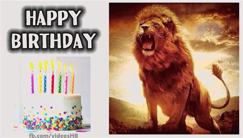 Post with 43 votes and 1691 views. Happy Birthday Lion Animated Gif - Animals - Birthday Greeting