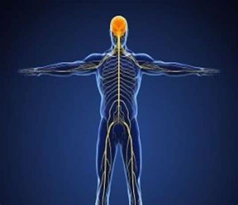 Syndrome Pyramidal Medical Actu