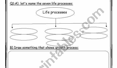 life processes - ESL worksheet by daralhekma