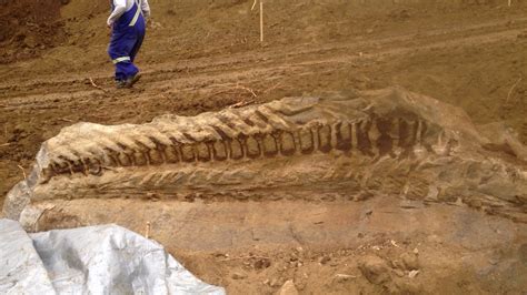 Oil Patch Workers Stumble Upon Massive New Complete Find Dinosaur