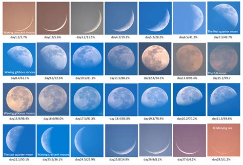 4 Keys To Understanding Moon Phases Earthsky