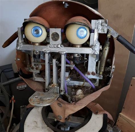 Endoskeleton Chuck E Cheese Showbiz Pizza Robot Design Sexiz Pix