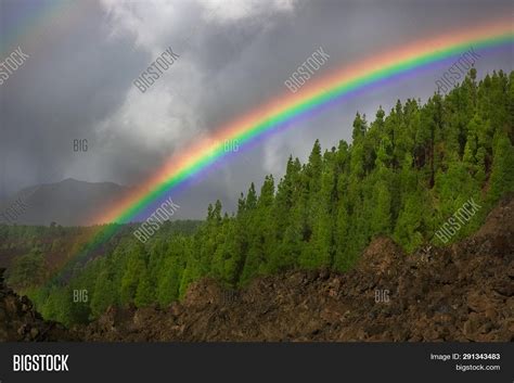 Rainbow Over Forest Image And Photo Free Trial Bigstock