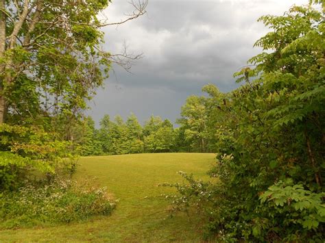 Free Images Landscape Tree Nature Forest Grass Wilderness Sky