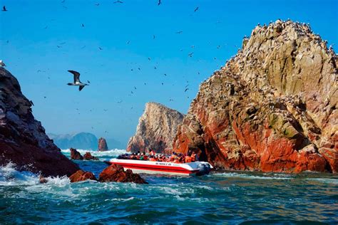 Paquetes Turisticos Ica Tours Paracas Islas Ballestas Qorianka