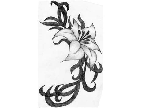 Flowers And Vines Drawing Free Download On Clipartmag