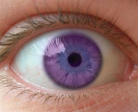 Topo 108 Imagem Olhos Azul Violeta Br Thptnganamst Edu Vn