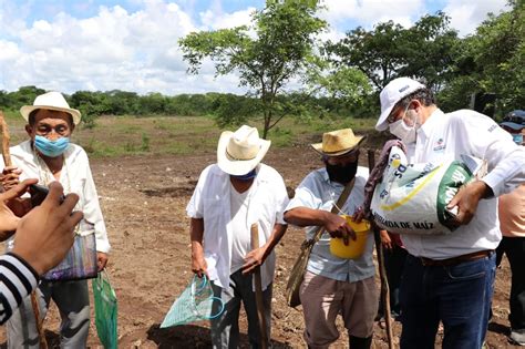 Buscan involucrar al influencer santiago maratea en la causa del albergo… tapa. La Jornada Maya | Yucatán