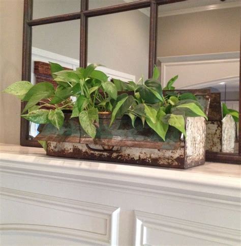 Antique Toolbox Turned Planter Above Mantle Planters Backyard Plants