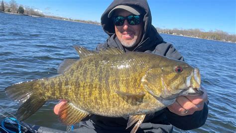 The 5 Minute Rule For Smallmouth Bass Learning How To Fish For