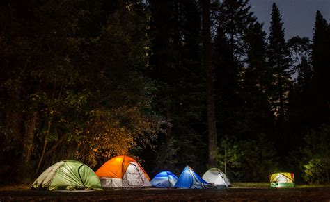 Six Camping Tents In Forest · Free Stock Photo