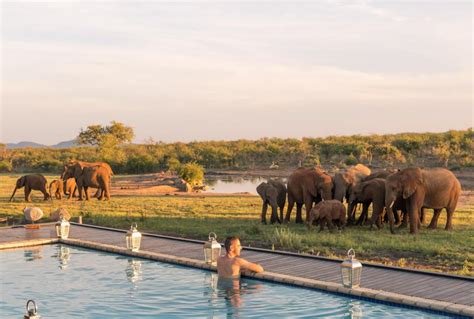 Jamala Madikwe Royal Safari Lodge All Inclusive Madikwe Game Reserve