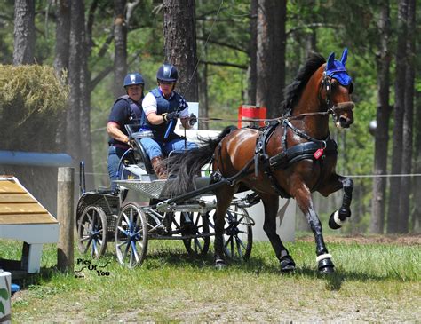 2017 Usef Single Horse Combined Driving National