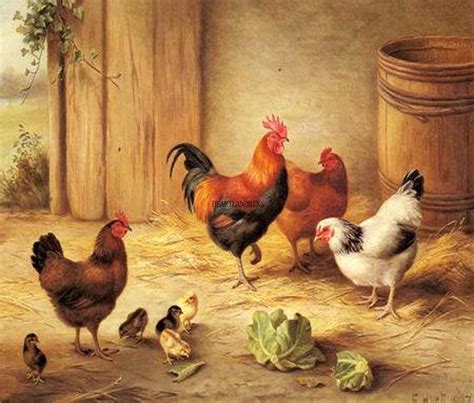 Vintage Chicken Illustration Rooster Hens Chicks Easter Etsy