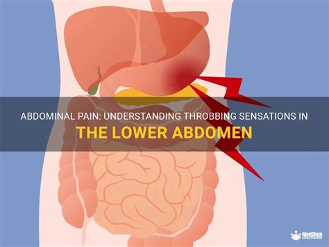 Abdominal Pain Understanding Throbbing Sensations In The Lower Abdomen Medshun