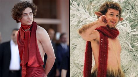 People can t unsee Timothée Chalamet as Mr Tumnus after red carpet look