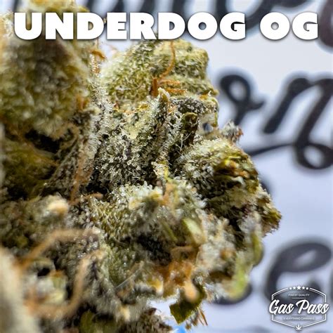 Underdog Og A Gas Pass Review Hippy Life Entertainment