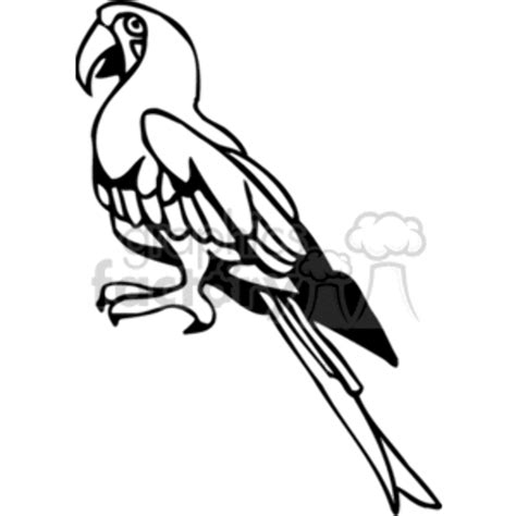 Download High Quality Parrot Clipart Black And White Transparent Png