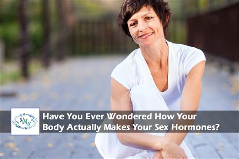 have you ever wondered how your body actually makes your sex hormones women s midlife specialist