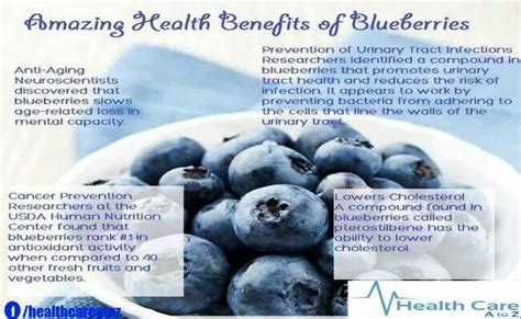 Amazing Health Benefits Of Blueberries Health Information Diet