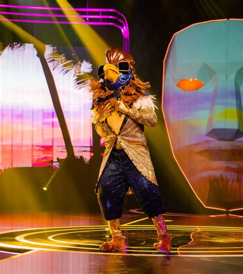 Rooster Is Unmasked On The Masked Singer South Africa