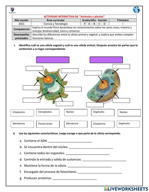 Ficha De Célula Animal Y Vegetal