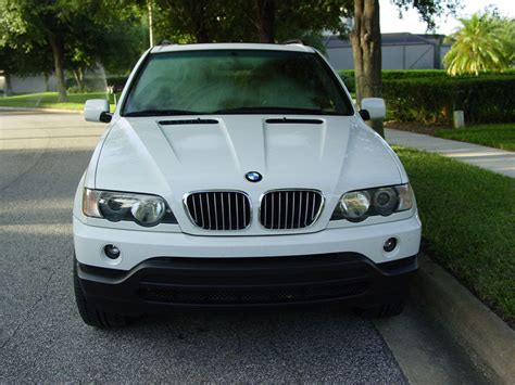 The paper towel dispenser was nearly empty, but she got out a wad, scrunched the towels up one by one and hid the plastic bag underneath them. White 2001 X5 4.4i