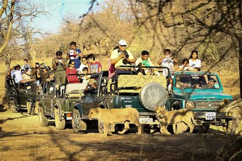 Gir National Park Wildlife Tour Packages Gujarat