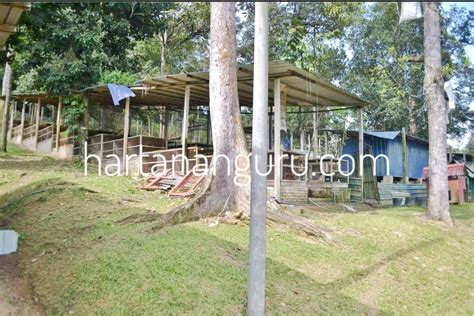 Vacation rentals in kuala langat district. Tanah Pertanian Untuk Dijual di Kuala Pangson, Hulu Langat