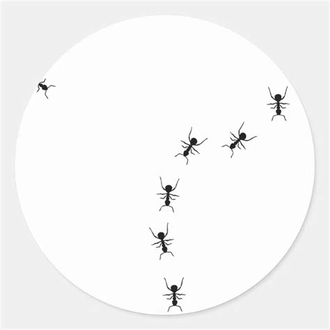 Ant Trail Icon Classic Round Sticker Zazzle