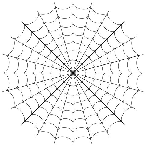 Download Hd Spider Web Png Image Png Spider Web Transparent Png Image