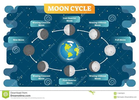 Cartaz Do Diagrama Da Ilustração Do Vetor Do Ciclo Da Fase Da Lua