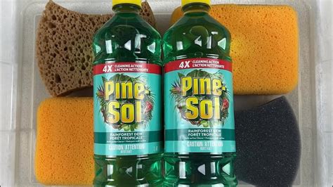 Pine Sol Rainforest Dew 🧽 Asmr Sponge Squeezes 🤗 Youtube