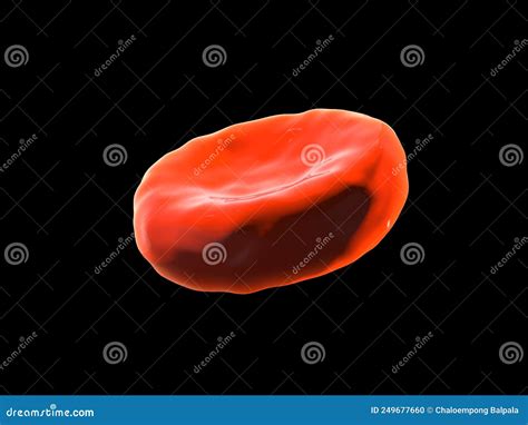Abstract Red Blood Cells Scientific Or Medical Or Microbiological