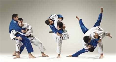 casal anim sport judo judô artes marciais marcial