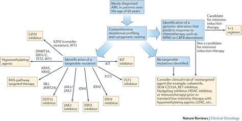 Proposed Treatment Algorithm For Patients Aged 60 Years With Newly
