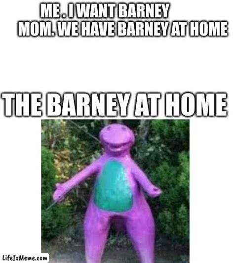 The Barney At Home Lifeismeme