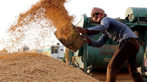 Ban On Rice Import From India To Disrupt Local Market Officials Warn