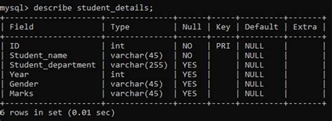 Mysql Describe Statement