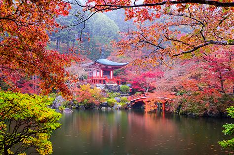 Fonds Decran Japon Kyoto Parc Pagodes Automne Étang Branche Nature