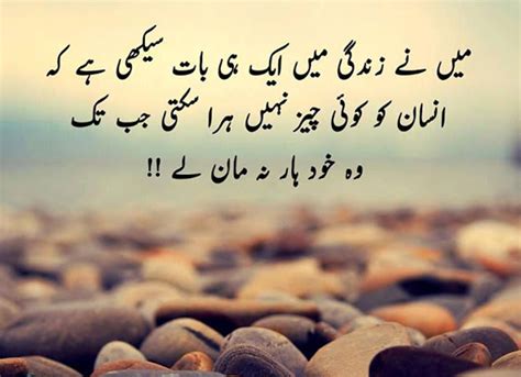 Inspire Poetry In Urdu Allama Muhammad Iqbal Full Urdu Translation