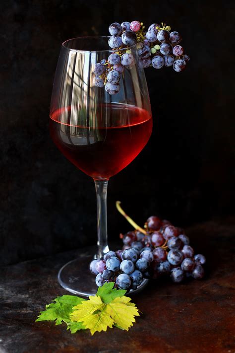 Free Images Flower Food Produce Drink Red Wine Still Life