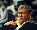 Peter Otoole Net Worth, Bio, Age, Height, Religion, Education - World ...